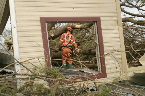 How Our Tree Care Process Works  in  Rosemount, MN